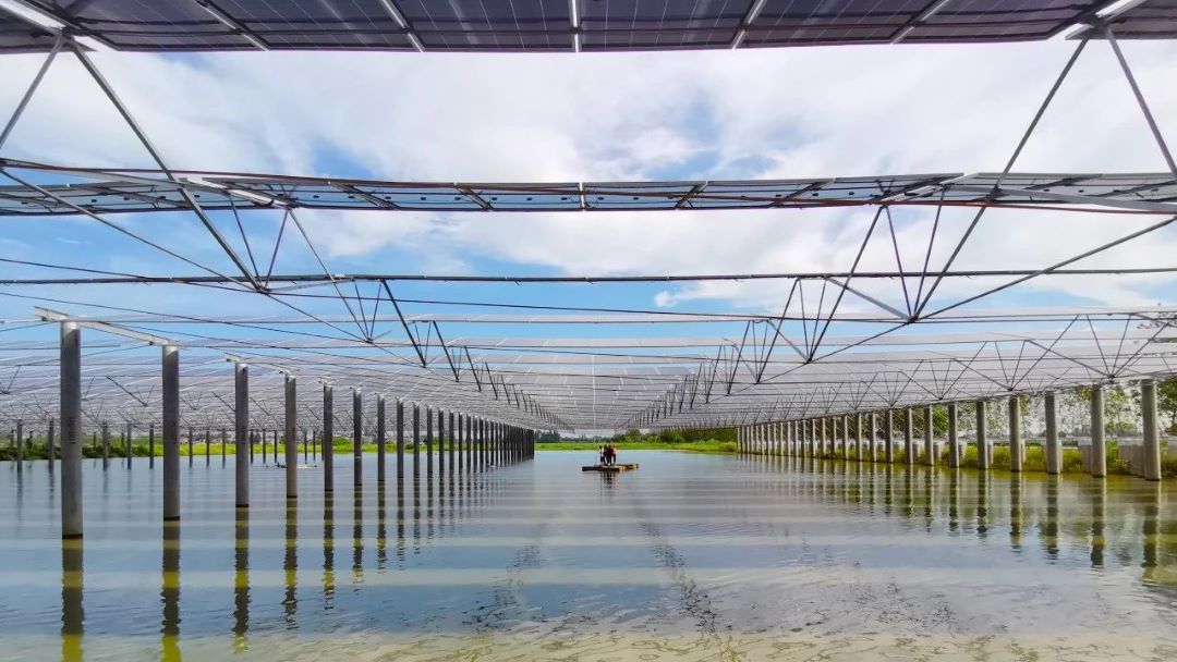 /ueditor/image/20250213/1739442907367244/381a4d5b0050a025e64361bb8f031eda.jpg 20240914104347_650.jpg